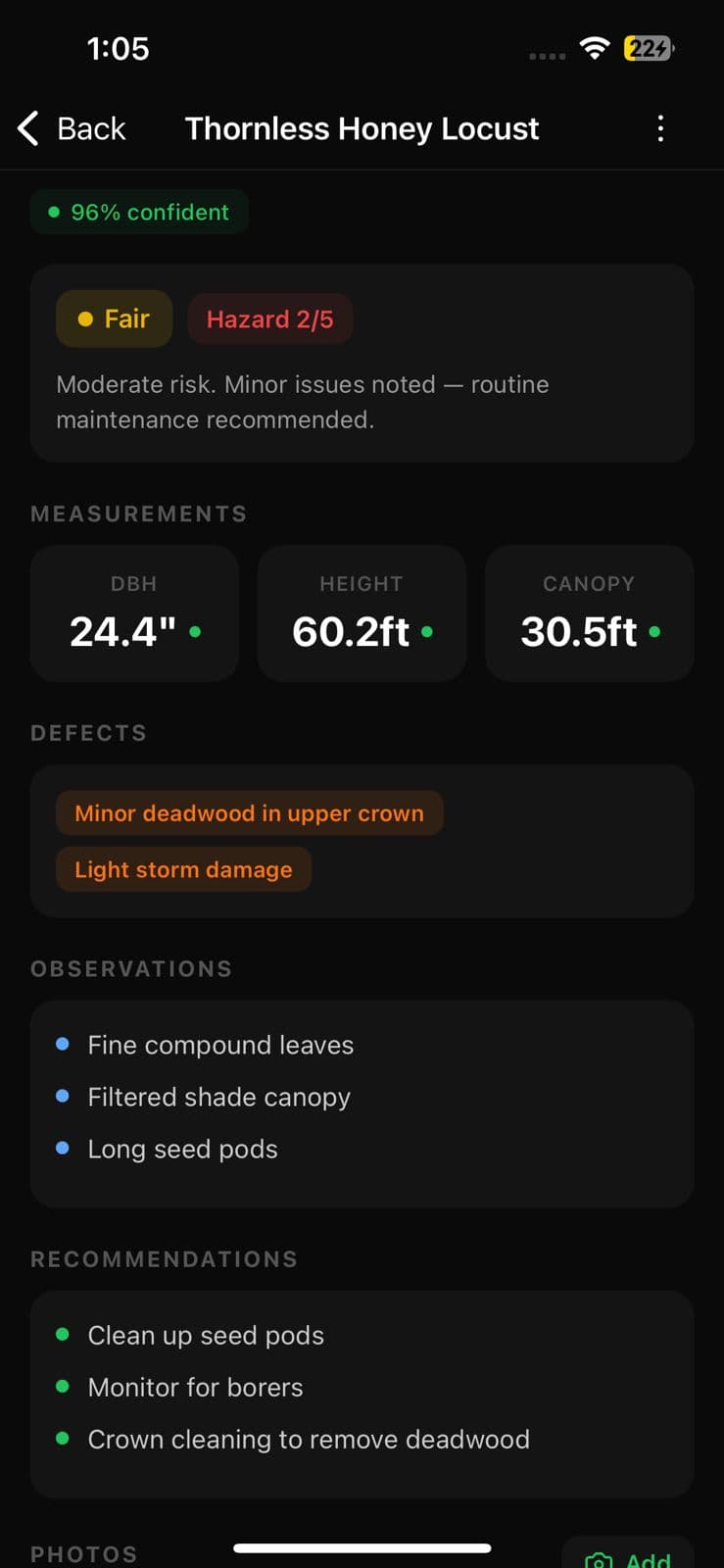 Tree detail view showing Fair health, Hazard 2/5, defects, observations, and recommendations