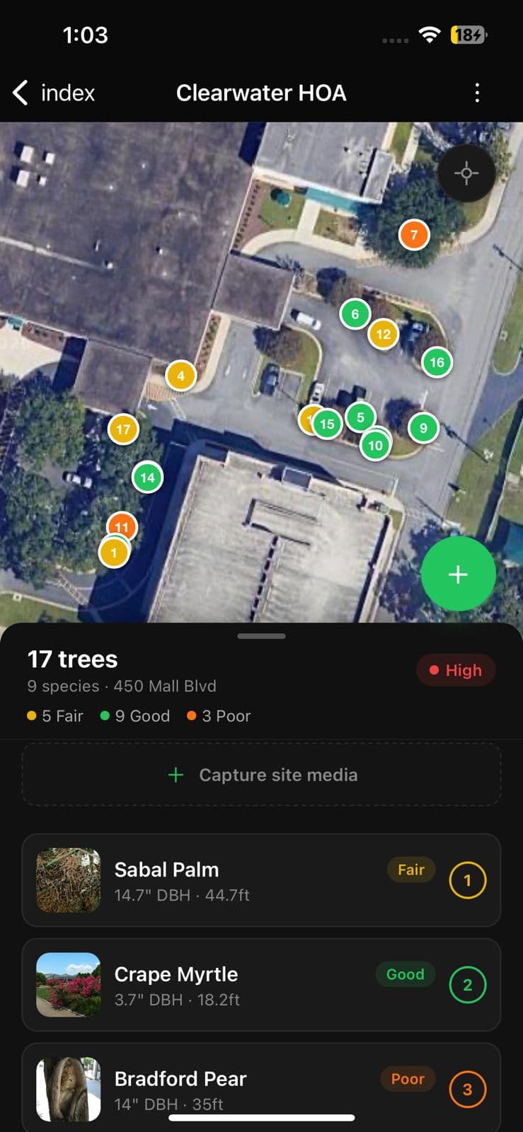 Tree Inventory AI site map with 17 GPS-pinned trees on satellite imagery