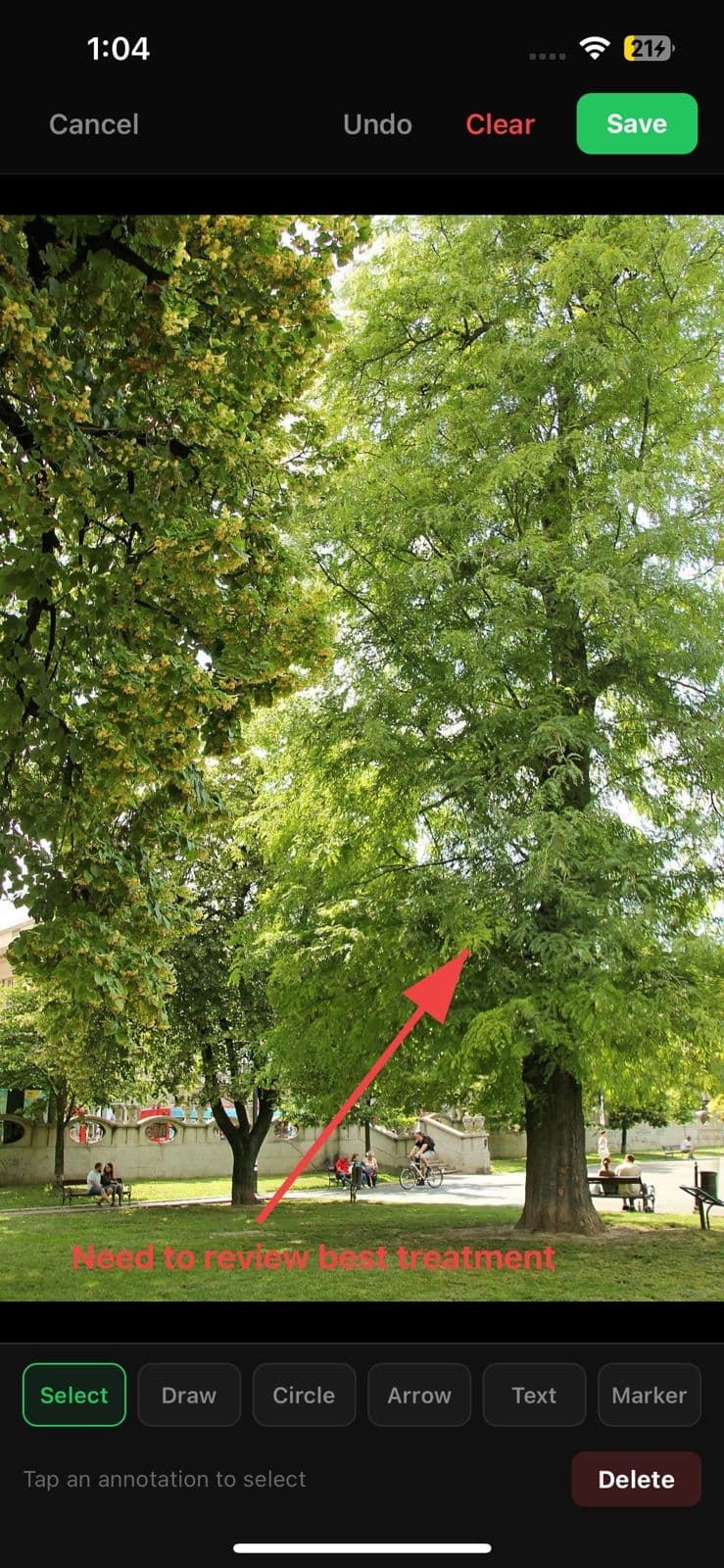 Photo markup editor with arrow and text annotations on a tree photo